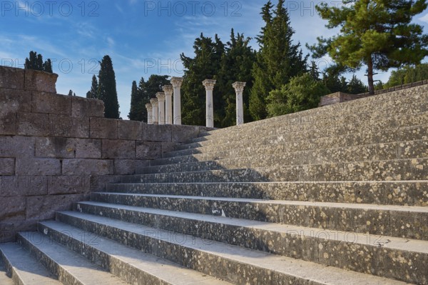 Stone staircase with old columns, framed by trees under a blue sky, open staircase to the second terrace, Asklipion, Asklepieion, healing temple, temple, Hippocrates, Kos, Dodecanese, Greek Islands, Greece