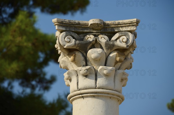 Close-up of an ornate capital in front of a clear sky, Temple of Apollo, Corinthian columns, Asklipion, Asklepieion, temple, Hippocrates, Kos, Dodecanese, Greek Islands, Greece