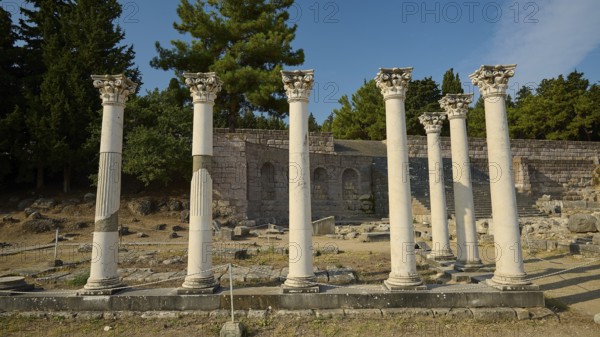 Row of ancient columns in front of a stone building and green forest, Temple of Apollo, Corinthian Columns, Asklipion, Asklepieion, Healing Temple, Temple, Hippocrates, Kos, Dodecanese, Greek Islands, Greece
