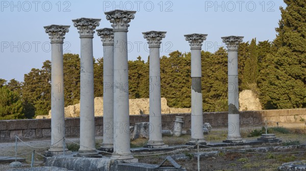 Ancient columns and ruins in the warm light of the evening surrounded by trees, Temple of Apollo, Corinthian Columns, Asklipion, Asklepieion, Healing Temple, Temple, Hippocrates, Kos, Dodecanese, Greek Islands, Greece