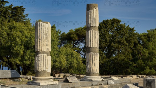 Two massive stone columns standing in a green, tree-filled environment, Asklepios Temple, Asklipion, Asklepieion, healing temple, temple, Hippocrates, Kos, Dodecanese, Greek Islands, Greece