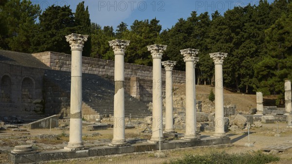 Ancient column structure in front of a dense forest, shining in daylight, Temple of Apollo, Corinthian Columns, Asklipion, Asklepieion, Temple of Healing, Temple, Hippocrates, Kos, Dodecanese, Greek Islands, Greece
