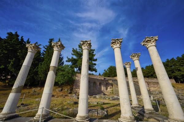 Ancient columns grouped in front of a blue sky and bulbous trees, Temple of Apollo, Corinthian Columns, Asklipion, Asklepieion, Healing Temple, Temple, Hippocrates, Kos, Dodecanese, Greek Islands, Greece