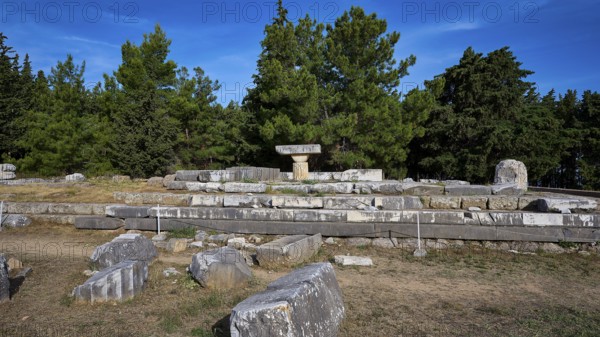 Stone ruins in the open air surrounded by trees, Doric temple, early Christian altar, Asklipion, Asklepieion, healing temple, temple, Hippocrates, Kos, Dodecanese, Greek Islands, Greece