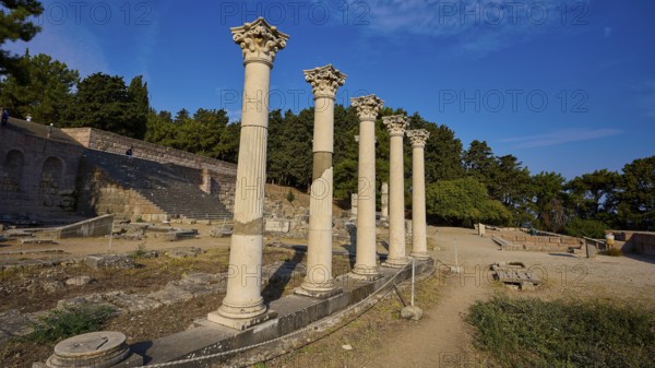 Row of ancient columns rises in a historic site surrounded by trees, Temple of Apollo, Corinthian Columns, Asklipion, Asklepieion, Healing Temple, Temple, Hippocrates, Kos, Dodecanese, Greek Islands, Greece