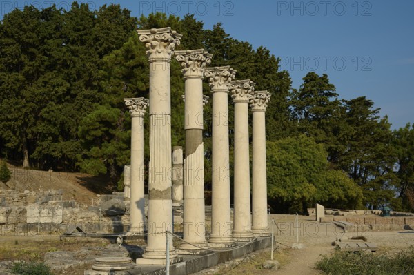 Ancient ruins with several columns in an archaeological site surrounded by trees, Temple of Apollo, Corinthian Columns, Asklipion, Asklepieion, Healing Temple, Temple, Hippocrates, Kos, Dodecanese, Greek Islands, Greece