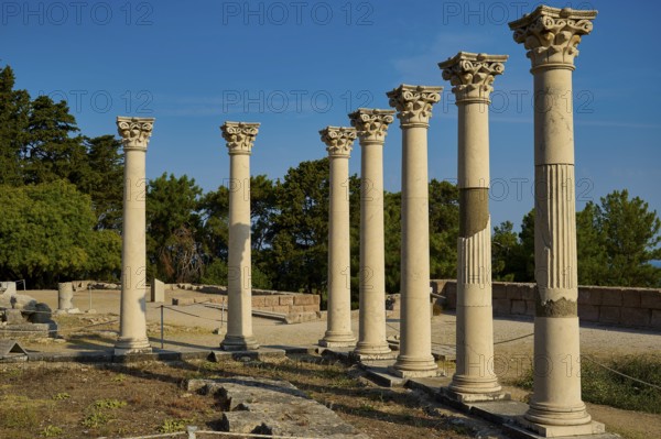 Row of ancient columns in a landscape of ruins with trees in the background, Temple of Apollo, Corinthian Columns, Asklipion, Asklepieion, Healing Temple, Temple, Hippocrates, Kos, Dodecanese, Greek Islands, Greece