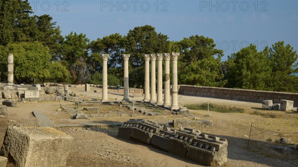 Ancient ruins with columns surrounded by lush trees in the sunshine, Temple of Apollo, Corinthian Columns, Asklipion, Asklepieion, Healing Temple, Temple, Hippocrates, Kos, Dodecanese, Greek Islands, Greece
