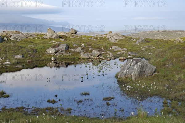 Small pond in a tranquil moorland landscape with rocks and clouds, Tarbert, Isle of Lewis, Hebrides, Scotland, United Kingdom