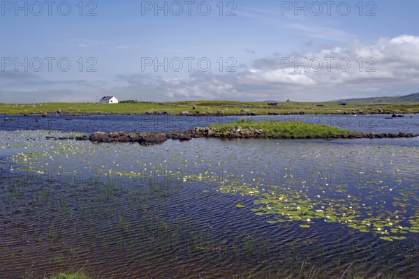 Landscape with water, water lilies and islands under blue sky with clouds, vastness, South Uist, Hebrides, Scotland, Great Britain