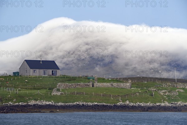 House on green meadow with sheep in front of misty hills on the coast, Benbecula, Hebrides, Scotland, Great Britain
