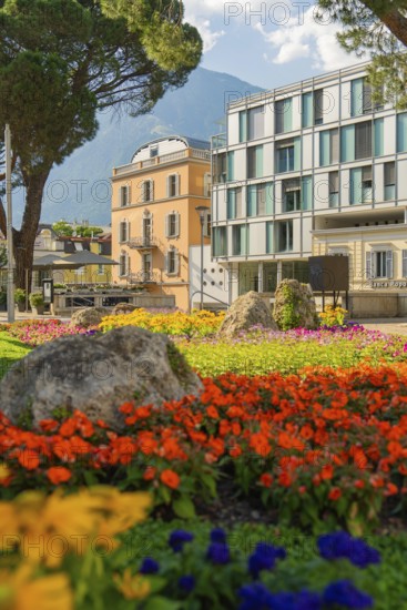 Colourful flower beds in front of a modern building, in sunny weather in a park, Merano, Italy