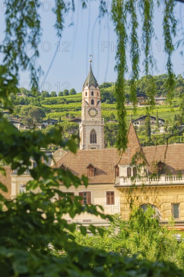 Church tower and building surrounded by green trees and hills, Merano, Italy