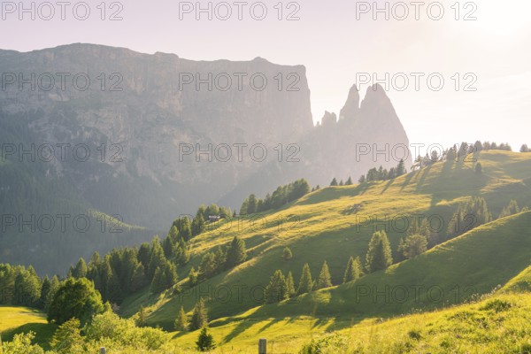 Sunlit hills and trees against an imposing mountain backdrop under a clear sky, Alpe di Siusi, Dolomites, South Tyrol, Italy