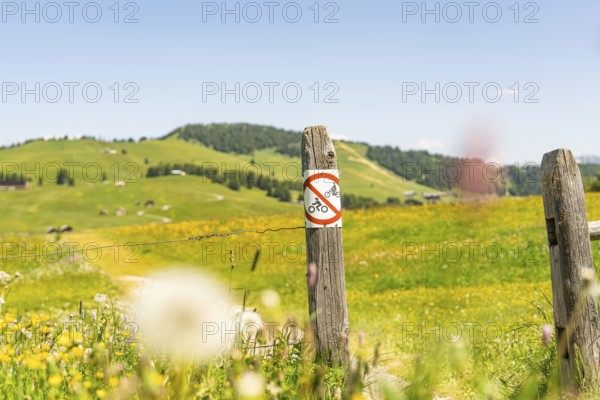Field path with a prohibition sign surrounded by flowering meadows, Alpe di Siusi, Dolomites, South Tyrol, Italy