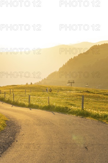 Landscape with rolling hills, a meadow and a cable car at sunset, Alpe di Siusi, Dolomites, South Tyrol, Italy