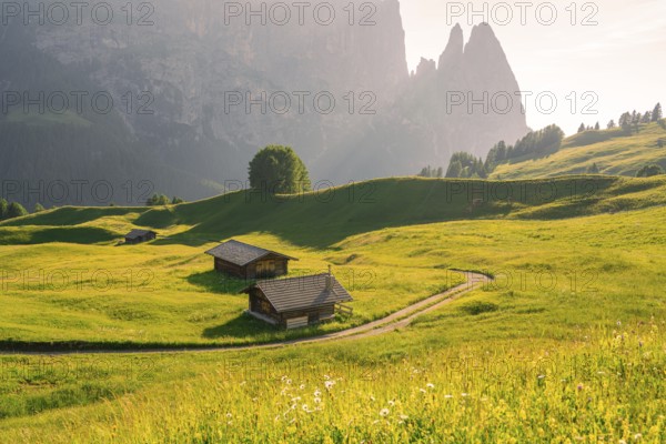 Idyllic mountain landscape with green meadows and small wooden huts in front of majestic mountains, Alpe di Siusi, Dolomites, South Tyrol, Italy