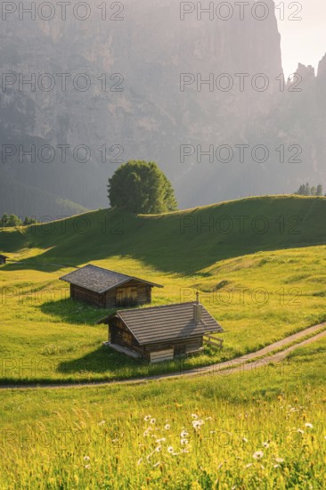 Two small wooden huts on a green meadow in front of impressive mountain cliffs, Alpe di Siusi, Dolomites, South Tyrol, Italy
