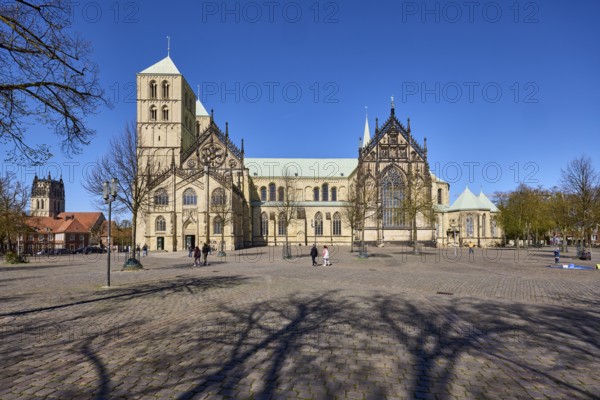St Paul's Cathedral, Roman Catholic church, old town, cathedral, Romanesque and Gothic architectural style, pedestrians as secondary motif, bare winter trees, shadow, square, blue cloudless sky, cathedral square, Münster, Münsterland, independent city, North Rhine-Westphalia, Germany