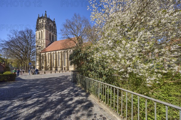 Church of Our Lady, Überwasserkirche, church tower, Gothic architecture, pavement of cobblestones, metal railing, pedestrian as secondary motif, blossoming tree, bird cherry (Prunus avium), blue cloudless sky, Überwasserkirchplatz, Münster, Münsterland, independent city, North Rhine-Westphalia, Germany