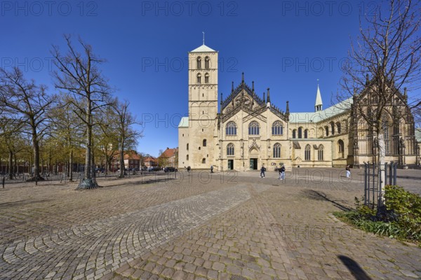 St Paul's Cathedral, Roman Catholic church, cathedral, Romanesque and Gothic architectural style, pedestrians as secondary motif, bare wintry trees, blue cloudless sky, square, cathedral square, Münster, Münsterland, independent city, North Rhine-Westphalia, Germany