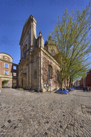 Former Dominican Church, Baroque architectural style, architect Lambert Friedrich von Corfey, church, pedestrian zone, pavement of cobblestones, trees, blue cloudless sky, Salzstraße, Julius-Voos-Gasse, Münster, Münsterland, independent city, North Rhine-Westphalia, Germany