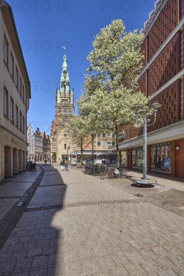 Stadthausturm, architectural style neo-renaissance, architect Alfred Hensen, tower, pedestrian zone, retail, lantern, trees, blue cloudless sky, Ludgeristraße, blue cloudless sky, Ludgeristraße, Münster, Münsterland, independent city, North Rhine-Westphalia, Germany