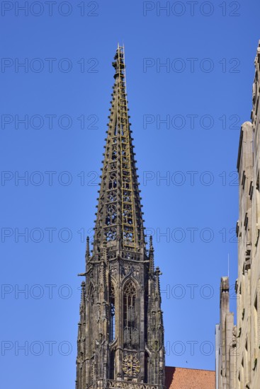 St. Lamberti, Lamberti Church, church tower, Gothic architecture, installation, ladder to heaven, artist Billi Thanner, gable, blue cloudless sky, Prinzipalmarkt, Münster, Münsterland, independent city, North Rhine-Westphalia, Germany
