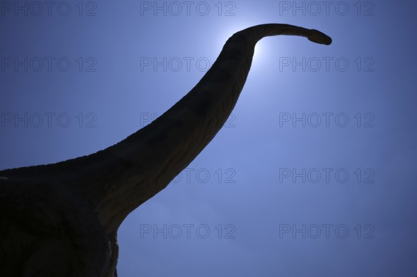 Replica, model of a Brachiosaurus, backlight, silhouette, in front of Urwelt-Museum Hauff, Museum, Holzmaden, Baden-Württemberg, Germany