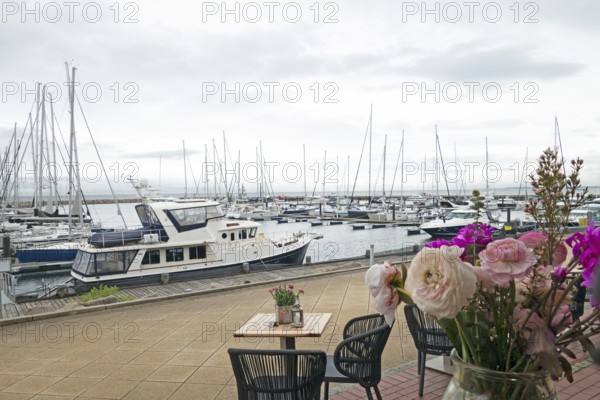 Boat harbour, Baltic Sea, Baltic resort, Kühlungsborn-Ost, Kühlungsborn, Rostock district, Mecklenburg-Western Pomerania, Germany