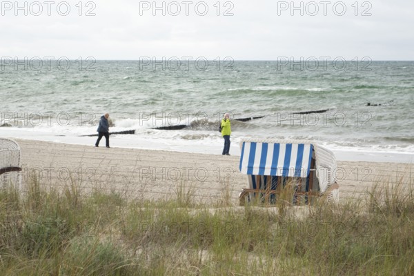 Stroller, windy, beach, beach chairs, Kühlunsborn Ost, Baltic Sea, Baltic Sea resort, Kühlungsborn, Rostock district, Mecklenburg-Western Pomerania, Germany