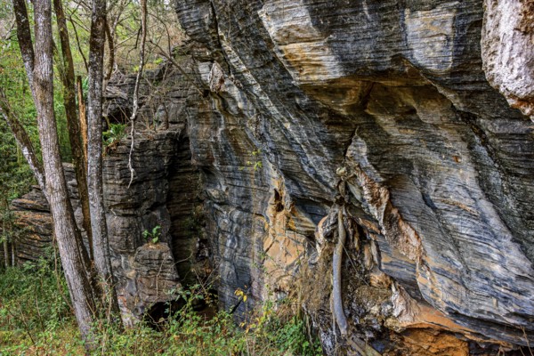 Vertical rocky formation between the trees of the tropical forest in Lapinha da Serra, Minas Gerais, Lapinha da Serra, Minas Gerais, Brazil