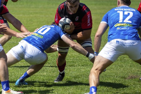 Rugby 1st Bundesliga South/West, 2024/25 season, final phase semi-final: SC Frankfurt 1880 vs SC Neuenheim