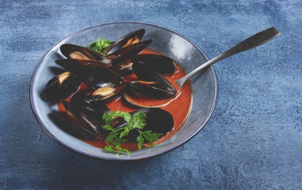 Fra Diavolo mussels, mussels in tomato sauce, Italian dish, on a blue background, homemade, no people
