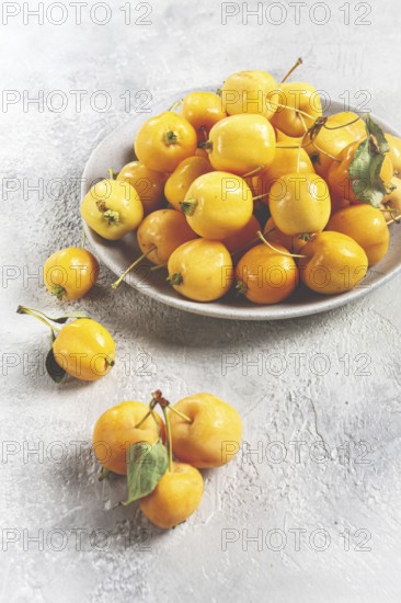 Yellow small apples, Chinese variety, on a gray plate, top view, no people