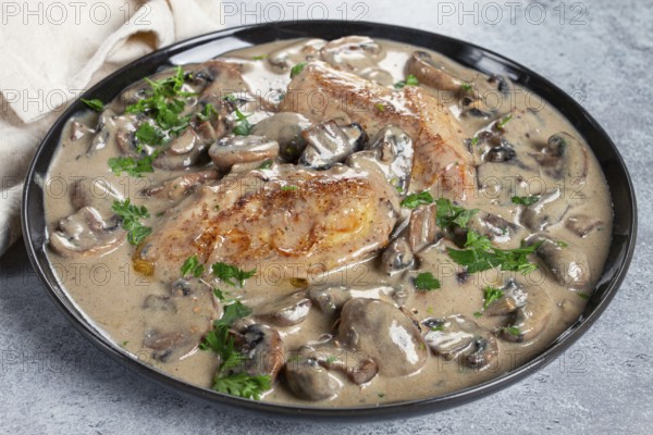 Chicken in cream sauce with mushrooms, on a black plate, no people