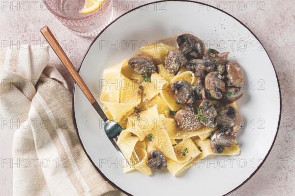 Delicious pappardelle pasta with mushrooms and cream served on a white plate