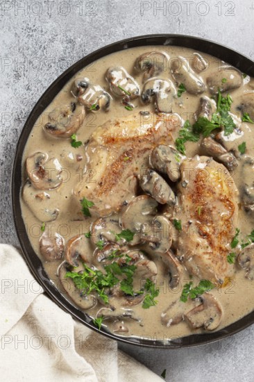 Chicken in cream sauce with mushrooms, on a black plate, no people