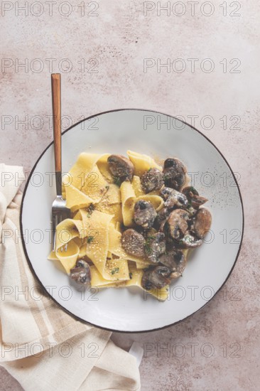 Delicious pappardelle pasta with mushrooms and cream served on a white plate