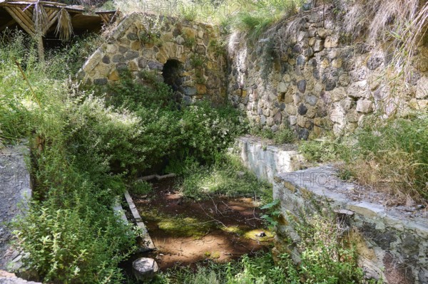 Spring, Poria spring, stone ruins overgrown with plants, impressive old wall structure, Antimacheia, medieval fortress, St John's fortress, Antimachia, Kos, Dodecanese, Greek Islands, Greece