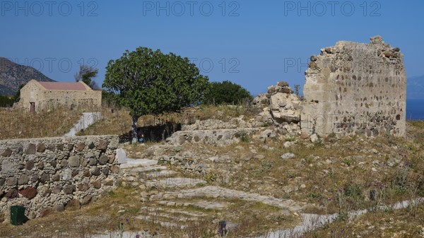 Ancient ruins and trees on rocky terrain under a blue sky, Antimacheia, Medieval fortress, St John's fortress, Antimachia, Kos, Dodecanese, Greek Islands, Greece
