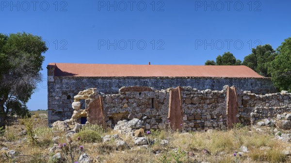 Stone walls of an abandoned building in a grassy landscape under a blue sky, Antimacheia, Medieval Fortress, St John's Fortress, Antimachia, Kos, Dodecanese, Greek Islands, Greece