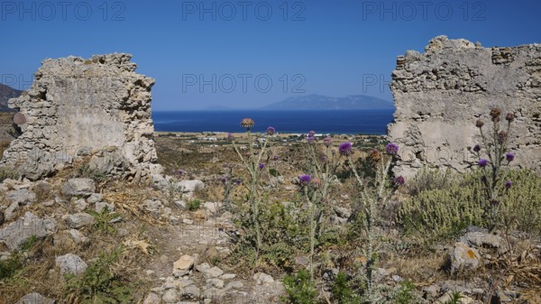 Ruins interspersed with plants with sea views under a clear sky, Kardamina, Antimacheia, Medieval fortress, St John's fortress, Antimachia, Kos, Dodecanese, Greek Islands, Greece