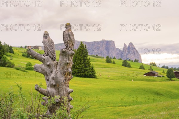 Two carved owls on a tree stump in a green hilly landscape with mountains, Alpe di Siusi, South Tyrol, Dolomites, Italy