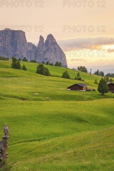 Green hills at sunset with wooden huts and mountains in the background, Alpe di Siusi, South Tyrol, Dolomites, Italy