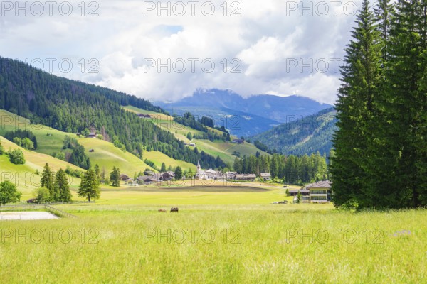 Idyllic landscape with mountains and village, surrounded by green meadows and forests, Alpe di Siusi, South Tyrol, Dolomites, Italy