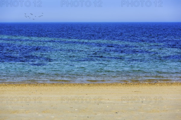 Turquoise blue sea, calm water surface, beach, offshore island of Heligoland, Schleswig-Holstein, Germany