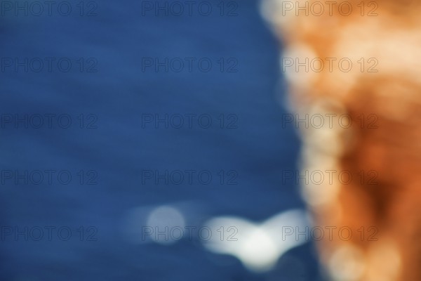 Seagull on cliff, bokehballs, motion blur, bird cliff, text free space, background image, Helgoland Island, Schleswig-Holstein, Germany