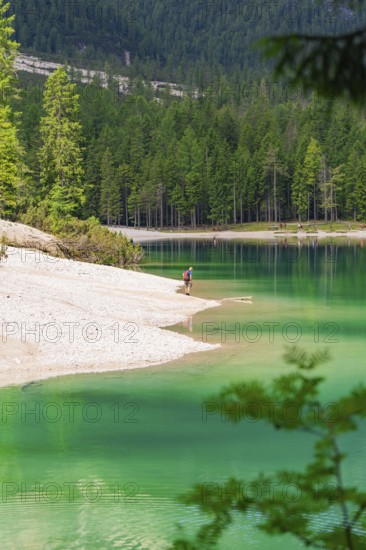 Single person on the lake shore, green water and surrounding forest, Pragser Wildsee, South Tyrol, Dolomites, Italy