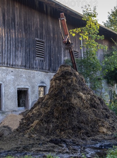 Highest dung heap in front of an old barn, surrounded by rural idyll, Bavaria, Germany